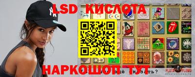 ПСИЛОЦИБИНОВЫЕ ГРИБЫ Можга
