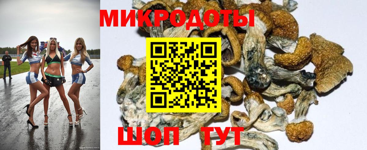 Галлюциногенные грибы Psilocybine cubensis  Вход с VPN  Псилоцибиновые грибы прущие грибы  Джанкой 